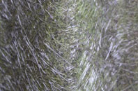 Kerrys Gate fibreglass roof work